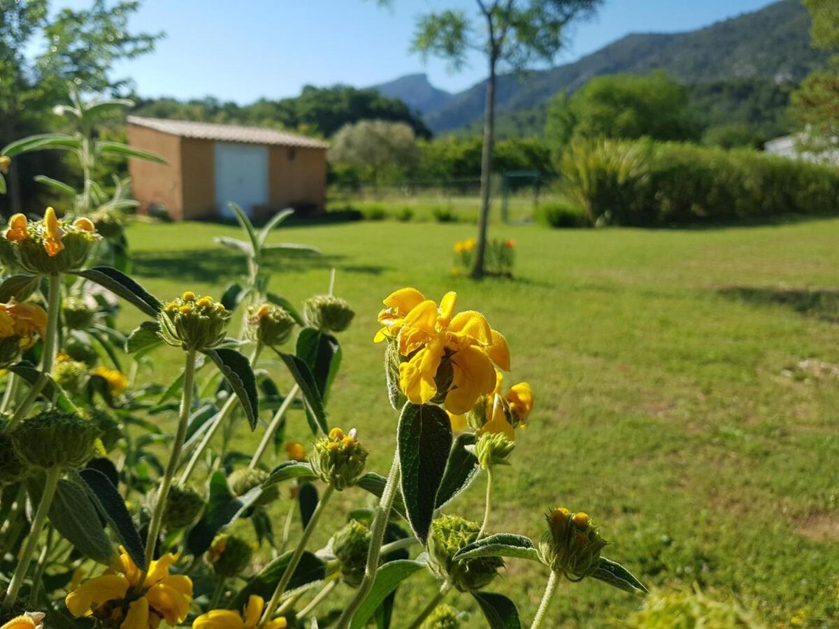 En Provence, Luberon, Villa Avec Piscine A Maubec Exterior foto